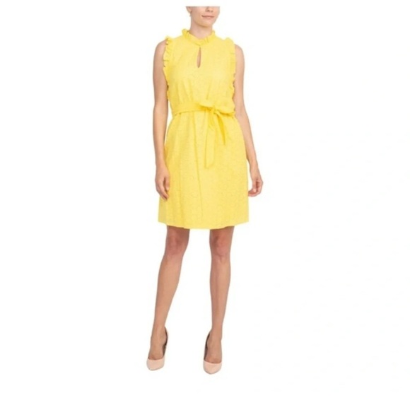 Nordstrom London Times Petunia Ruffle Neck Waist Tie Dress   NWOT - Picture 7 of 7